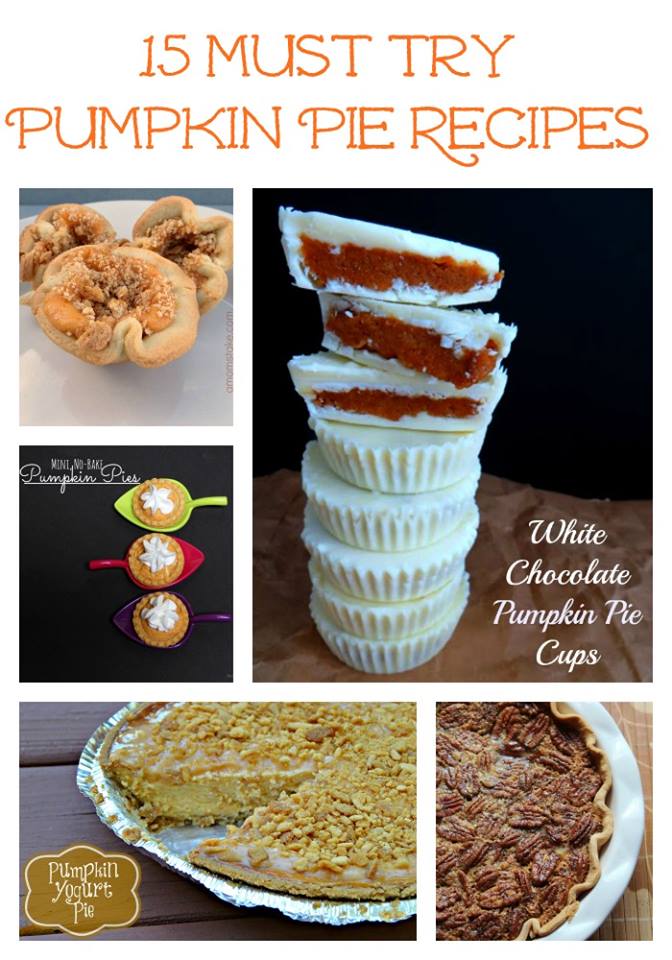 15 Must Try Pumpkin Pie Recipes