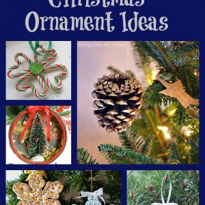 22 DIY Christmas Ornament Ideas